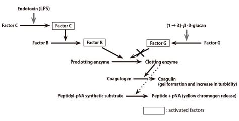 BET: Bacterial Endotoxin (LAL) Test .